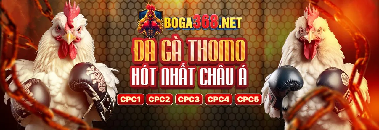 Màn hình hiển thị tỷ lệ cược trực tiếp với nhiều môn thể thao, thể hiện tính năng cá cược trực tiếp tại halo88 nhà cái.